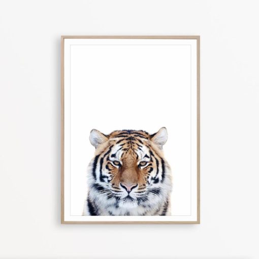 Tiger Print Bengal Tiger Poster Tiger Wall Art Safari Animal Print Tiger Decor Tiger Printable Wild Nature Tiger Poster Jungle Animal Print