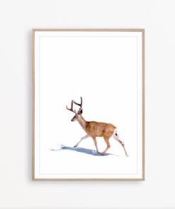 Deer Wall Art Scandinavian Poster Deer Print Nordic Wall Art Deer Poster Minimalist Decor Forest Animal Wall Art Scandinavian Decor Deer Art