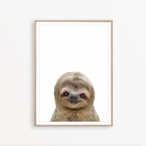 Sloth Print Art Sloth Baby Print Sloth Wall Art Jungle Nursery Decor Tropical Poster Jungle Animal Print Sloth Poster Tropical Animal Print
