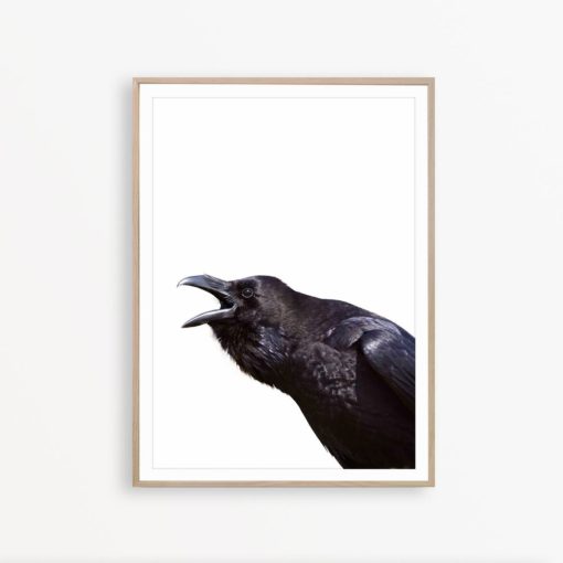 Raven Print Black Bird Decor Raven Wall Art Nevermore Raven Black Bird Print Gothic Decor Raven Poster Esoteric Art Gothic Print Raven Art