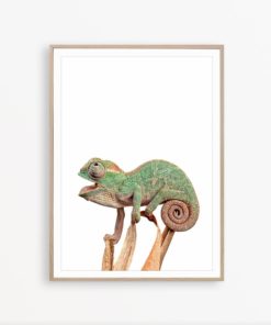 Chameleon Print Reptile Art Jungle Animal Print Chameleon Wall Art Reptile Decor Chameleon Painting Chameleon Poster Reptile Print