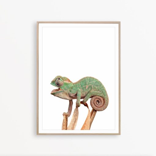 Chameleon Print Reptile Art Jungle Animal Print Chameleon Wall Art Reptile Decor Chameleon Painting Chameleon Poster Reptile Print
