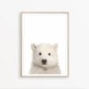 Baby Bear Print Bear Cub Print Baby Animal Print Polar Bear Art Nursery Bear Print Bear Nursery Decor Bear Nursery Wall Art Bear Photography