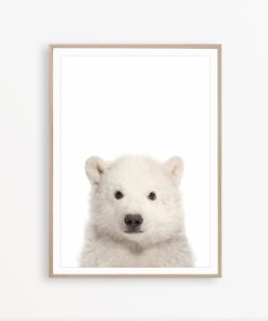 Baby Bear Print Bear Cub Print Baby Animal Print Polar Bear Art Nursery Bear Print Bear Nursery Decor Bear Nursery Wall Art Bear Photography