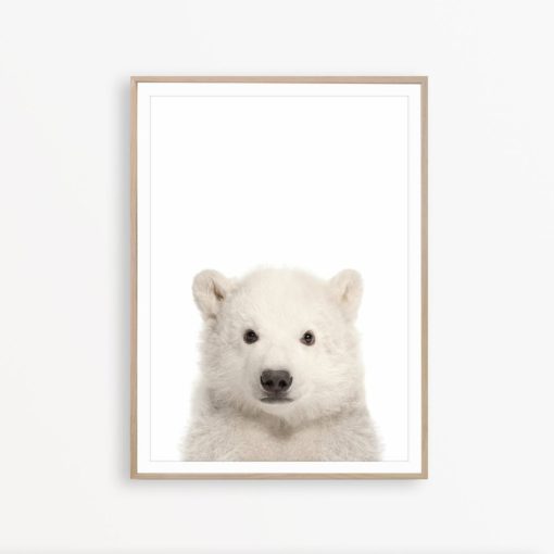 Baby Bear Print Bear Cub Print Baby Animal Print Polar Bear Art Nursery Bear Print Bear Nursery Decor Bear Nursery Wall Art Bear Photography