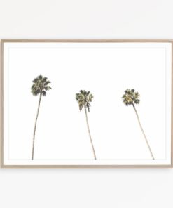 Tropical Art Print Palm Tree Wall Art Black and White Print Palm Tree Art California Wall Art Tropical Poster Palm Tree Wall Decor Palm Art