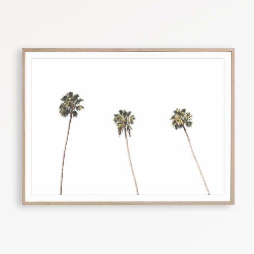 Tropical Art Print Palm Tree Wall Art Black and White Print Palm Tree Art California Wall Art Tropical Poster Palm Tree Wall Decor Palm Art