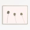 SALE! Tropical Print Art Pale Pink Palm Wall Art