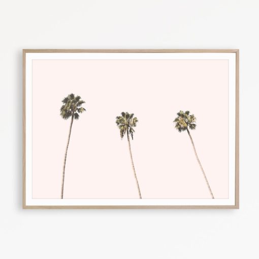 SALE! Tropical Print Art Pale Pink Palm Wall Art