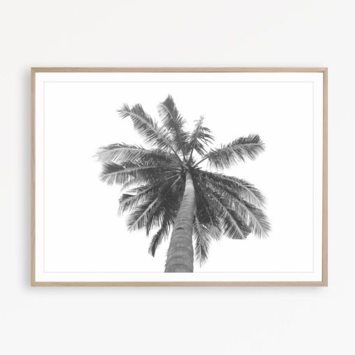 Palm Tree Art Black and White Tropical Print Tropical Wall Art Palm Print Tropical Poster Black & White Palm Tree Print Palm Photo