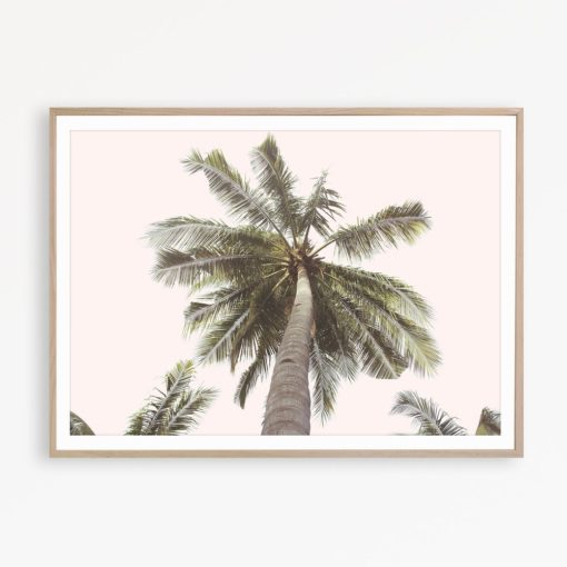 Tropical Wall Art Palm Print Blush Pink Decor Tropical Print Pale Pink Wall Art Palm Poster Tropical Decor Palm Tree Print Palm Wall Art