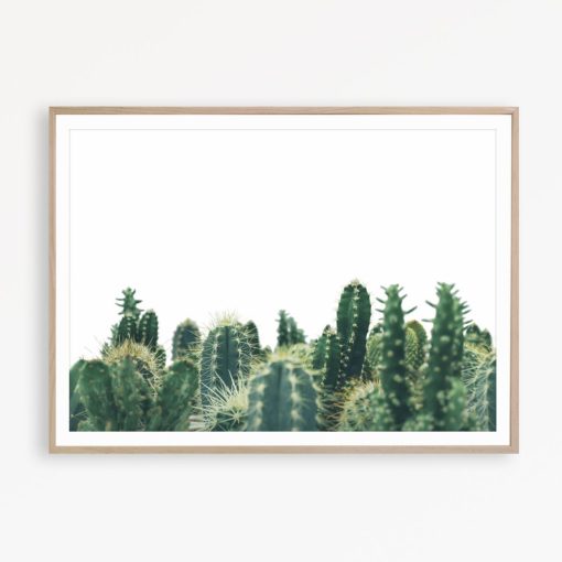 Cacti Wall Art Cactus Print Mexican Wall Decor Cactus Photography Cacti Print Botanical Poster Cacti Nursery Print Texas Wall Art Cacti Art