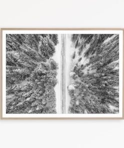 Black and White Photography Wall Art Print Scandinavian Wall Art Forest Photo Nordic Decor Scandinavian Poster Forest Print Wilderness Print