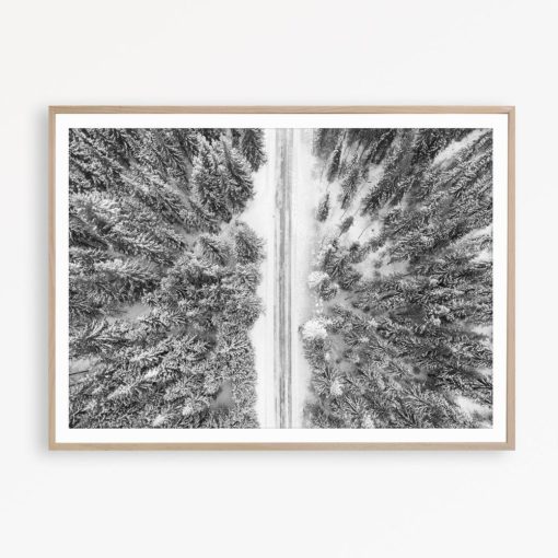 Black and White Photography Wall Art Print Scandinavian Wall Art Forest Photo Nordic Decor Scandinavian Poster Forest Print Wilderness Print