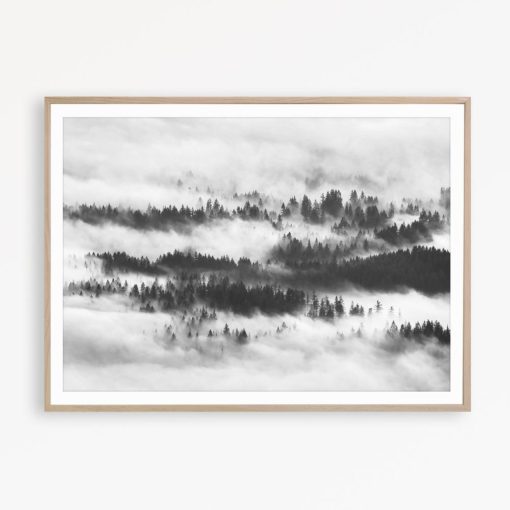 Scandinavian Print Forest Printable Black and White Poster Forest Art Print Nature Photography Forest Wall Art Black and White Wall Decor