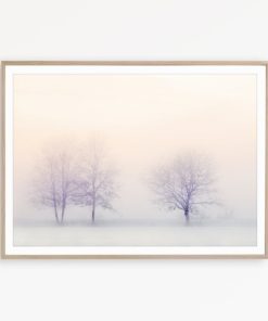 Tree Wall Art Pastel Decor Bedroom Print Foggy Forest Print Nature Photo Tree Print Blush Pink Art Nature Poster Scandinavian Modern Print