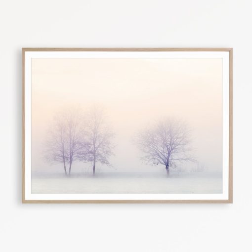 Tree Wall Art Pastel Decor Bedroom Print Foggy Forest Print Nature Photo Tree Print Blush Pink Art Nature Poster Scandinavian Modern Print