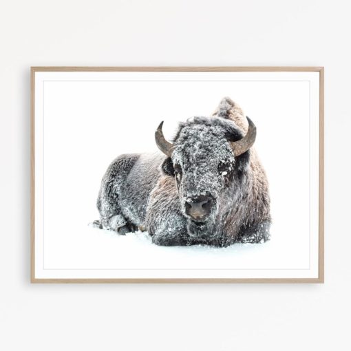 Buffalo Print Farmhouse Wall Decor Scandinavian Print Bison Wall Art Bison Poster Nordic Print Buffalo Printable Bison Art Buffalo Wall Art