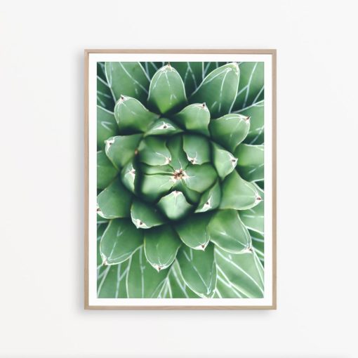 Succulent Wall Art Cactus Decor Modern Home Decor Boho Printable Cactus Print Botanical Print Cacti Poster Succulent Print Cacti Wall Art