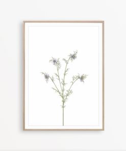 Botanical Print Floral Print Wall Art Farmhouse Wall Decor Wildflower Print Flower Poster Rustic Print Art Farmhouse Art Print