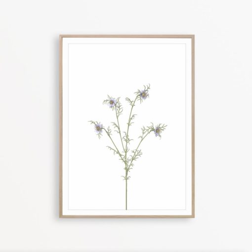 Botanical Print Floral Print Wall Art Farmhouse Wall Decor Wildflower Print Flower Poster Rustic Print Art Farmhouse Art Print