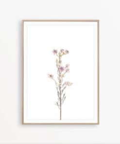 Flower Wall Art Farmhouse Art Print Pink Flower Print Botanical Art Print Farmhouse Wall Decor Flower Poster Rustic Print Wildflower Print