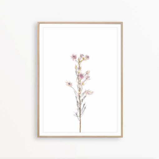 Flower Wall Art Farmhouse Art Print Pink Flower Print Botanical Art Print Farmhouse Wall Decor Flower Poster Rustic Print Wildflower Print