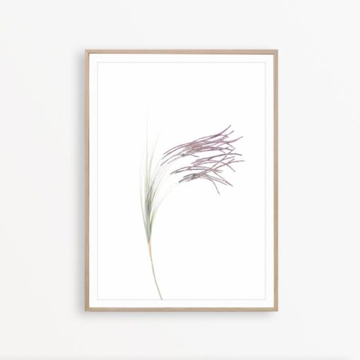 Flower Print Farmhouse Wall Decor Flower Wall Art Farmhouse Art Print Botanical Art Print Rustic Wall Art Flower Poster Minimalist Wall Art
