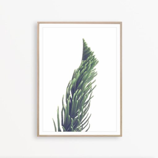 Plant Print Green Leaves Print Botanical Wall Art Pine Tree Art Modern Printable Wall Art Modern Poster Modern Room Decor Greenery Print