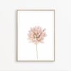 Flower Wall Art Farmhouse Printable Botanical Print Flower Print Minimalist Printable Blush Pink Wall Decor Flower Poster Rustic Wall Art