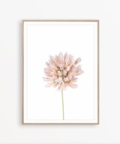 Flower Wall Art Farmhouse Printable Botanical Print Flower Print Minimalist Printable Blush Pink Wall Decor Flower Poster Rustic Wall Art