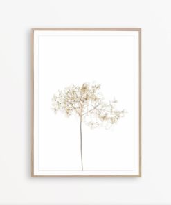 Dried Flower Wall Art Farmhouse Wall Decor Flower Print Minimalist Print Dried Flower Print Botanical Art Print Flower Poster Minimalist Art