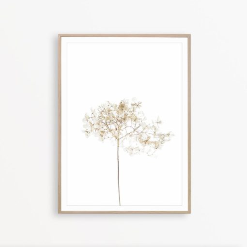 Dried Flower Wall Art Farmhouse Wall Decor Flower Print Minimalist Print Dried Flower Print Botanical Art Print Flower Poster Minimalist Art