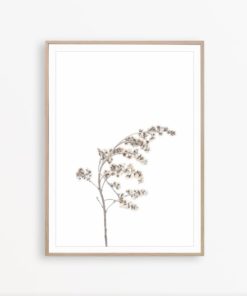 Dried Flowers Art Minimalist Wall Art Wildflower Print Flower Wall Art Botanical Print Minimalist Poster Wildflower Wall decor Farmhouse Art