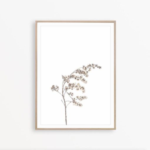 Dried Flowers Art Minimalist Wall Art Wildflower Print Flower Wall Art Botanical Print Minimalist Poster Wildflower Wall decor Farmhouse Art