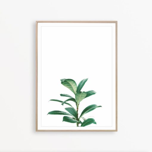 Ficus Print House Plant Print Scandinavian Decor Minimalist Printable Art Tropical Leaf Print Greenery Decor Leaf Wall Art Botanical Decor