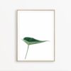 Tropical Leaf Print Monstera Leaf Art Tropical Wall Art Minimalist Wall Decor Monstera Wall Art Tropical Poster Botanical Wall Art