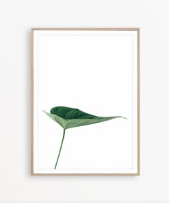 Tropical Leaf Print Monstera Leaf Art Tropical Wall Art Minimalist Wall Decor Monstera Wall Art Tropical Poster Botanical Wall Art