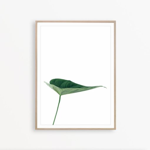 Tropical Leaf Print Monstera Leaf Art Tropical Wall Art Minimalist Wall Decor Monstera Wall Art Tropical Poster Botanical Wall Art