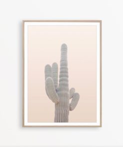 Cactus Wall Art Cactus Photography Blush Pink Wall Art Cacti Decor Cactus Print Cacti Poster Southwestern Wall Art Mexican Print Cacti Photo