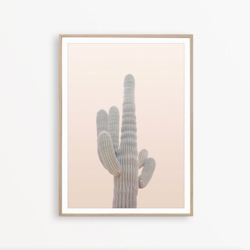 Cactus Wall Art Cactus Photography Blush Pink Wall Art Cacti Decor Cactus Print Cacti Poster Southwestern Wall Art Mexican Print Cacti Photo