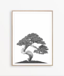 Bonsai Tree Wall Art Plant Print Black and White Botanical Print Japanese Decor Minimalist Poster Japanese Zen Print Scandinavian Wall Art