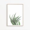 Aloe Print Succulent Print Modern Wall Art Print Cactus Wall Decor Succulent Poster Succulent Wall Art Cactus Photography Modern Wall Decor
