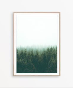 Forest Art Print Forest Photo Wilderness Print Green Wall Art Scandinavian Printable Art Green Print Art Nature Photography Forest Wall Art