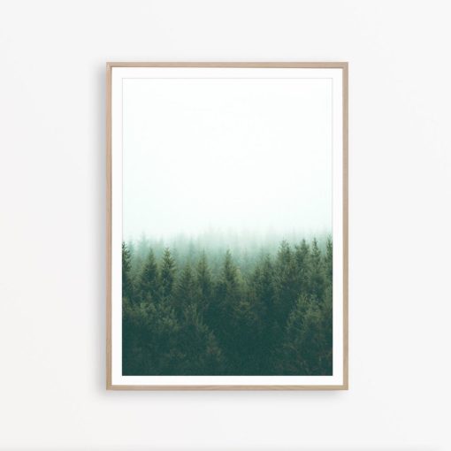 Forest Art Print Forest Photo Wilderness Print Green Wall Art Scandinavian Printable Art Green Print Art Nature Photography Forest Wall Art