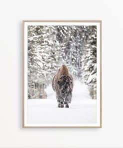 Buffalo Art Print Bison Wall Art Farmhouse Wall Decor Forest Poster Scandinavian Print Buffalo Wall Art Farm House Print Nordic Printable