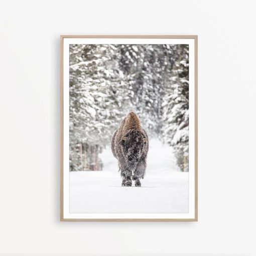 Buffalo Art Print Bison Wall Art Farmhouse Wall Decor Forest Poster Scandinavian Print Buffalo Wall Art Farm House Print Nordic Printable