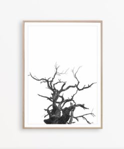 Black and White Modern Art Print Tree Art Minimalist Art Tree Wall Art Black and White Modern Print Scandinavian Art Print Minimalist Poster