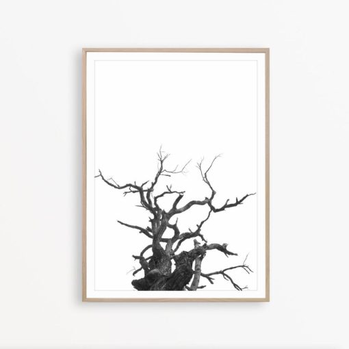 Black and White Modern Art Print Tree Art Minimalist Art Tree Wall Art Black and White Modern Print Scandinavian Art Print Minimalist Poster