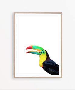 Toucan Wall Art Tropical Print Toucan Print Tropical Decor Toucan Photo Exotic Bird Print Toucan Poster Bird Photography Tropical Wall Art